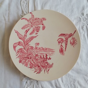 Ironste dish Longchamp Exotique Parrot pink bird transferware / Large Longchamp Exotique bird plate in pink iron earth