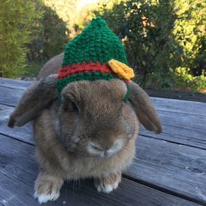 Crochet Elf Hat for small pets