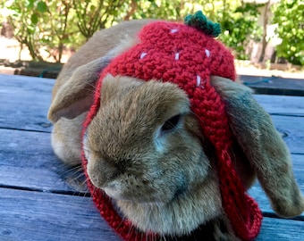 Strawberry Crochet Hat for Small Pets // new yarn