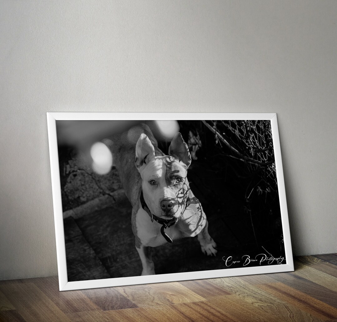 Printable Dog Print, Black and White Digital Download - Etsy