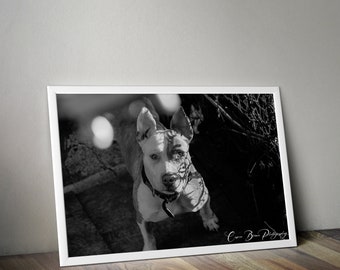 Printable Dog Print, Black and White Digital Download