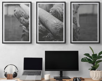 Decoración de pared de béisbol de 3 piezas, Regalos para adolescentes, Arte de pared para adolescentes, Decoración de habitaciones para adolescentes, Impresión de béisbol, Decoración de escritorio para niños, Regalos para adolescentes