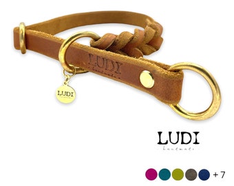 Train stop / retriver dog collar "Levi" made of leather *customizable with name + mobile number*