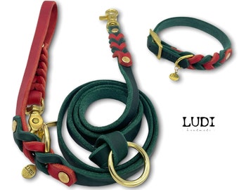 Halsband und Leinen-Set  „Side by Side“ Rot/Tanne