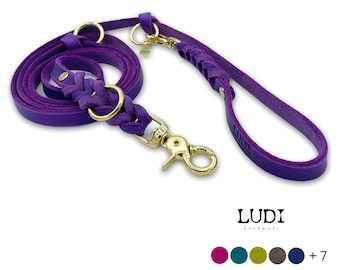 Dog leash "Ludi" made of soft and robust grease leather braided