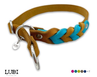 Zugstopp Retriver Hundehalsband | 2-Farbig | aus Leder | personalisierbar mit Namen + Handynummer