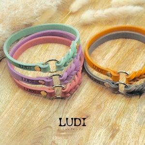 Branded collar leather | for Dogs & Tax Stamps | with embossed name | spring colors