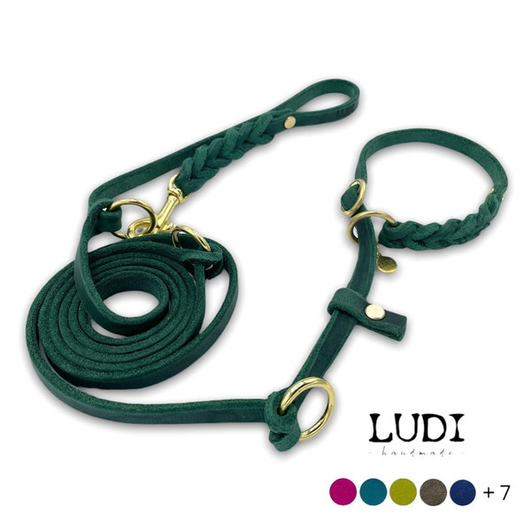 Pull stop / ret leash "Eazy" leash and collar in one leather