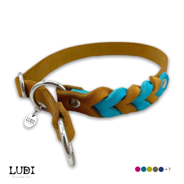 Zugstopp Retriver Hundehalsband | 2-Farbig | aus Leder | personalisierbar mit Namen + Handynummer