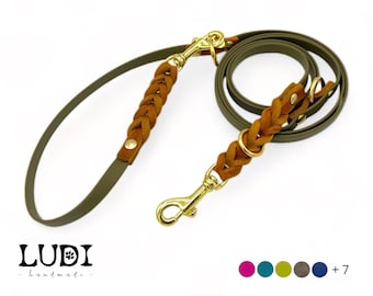 Dog leash “Duo” made of BioThane® & leather | different lengths and widths