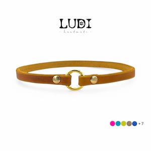 &quot;Classic&quot; leather brand collar for dog or tax tags | personalized with name | For ID tags