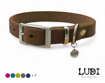 “Classic” collar made of soft and robust leather | Personalized with name + cell phone number