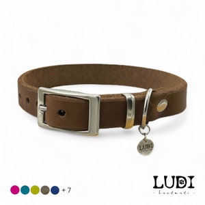 “Classic” collar made of soft and robust leather | Personalized with name + cell phone number