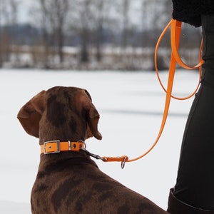 BioThane® Hunde Leine für groß & klein hochwertig verarbeitet verschiedene Farben Bild 2