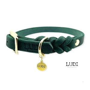 Halsband Ludi aus weichem Leder teilgeflochten personalisierbar mit Namen Handynummer Bild 3