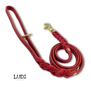Dog leash Ludi made of soft and robust grease leather braided image 3