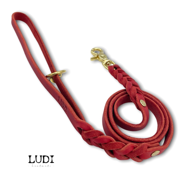 Dog leash Ludi made of soft and robust grease leather braided image 3