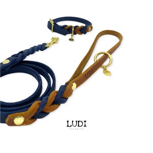 May include: A blue and brown leather dog collar and leash set with gold hardware. The leash is braided and has a gold tag with the word "LUDI" engraved on it.