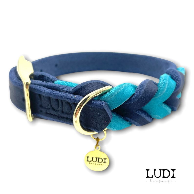Halsband für Hunde personalisierbar mit Namen Handynr. 2-Farbig Side by Side Bild 7