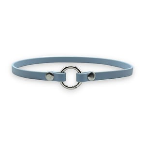 Markenhalsband Classic aus BioThane® für Hunde oder Steuermarken dünn & leicht Eisblau