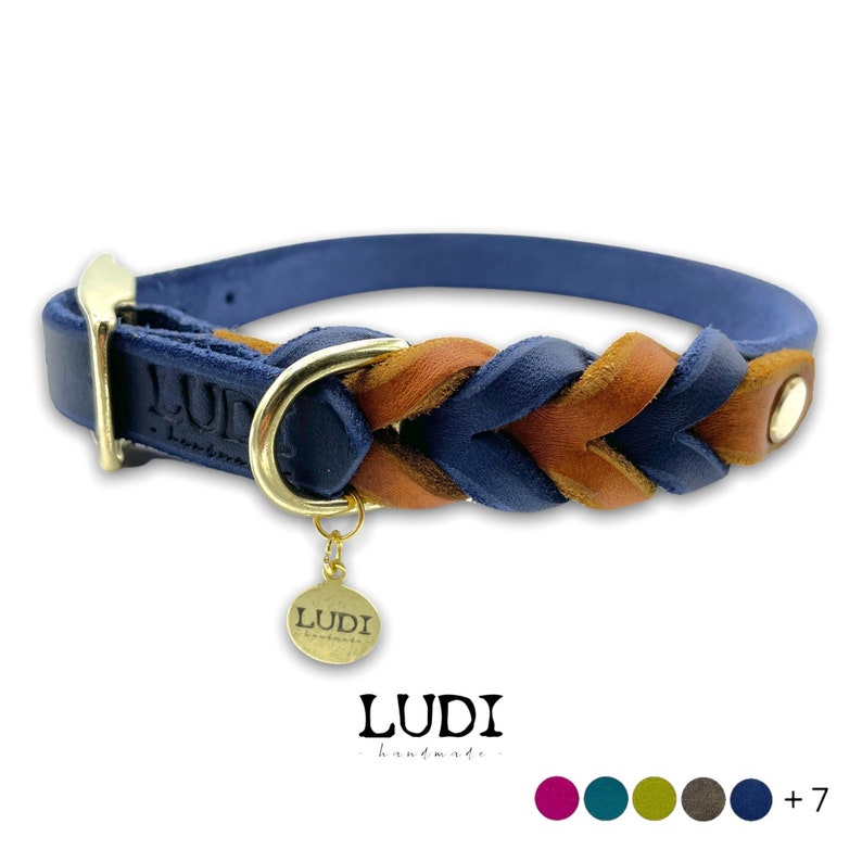 Halsband für Hunde personalisierbar mit Namen Handynr. 2-Farbig Side by Side Bild 1