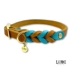 Halsband für Hunde personalisierbar mit Namen Handynr. 2-Farbig Side by Side Bild 4