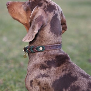 Halsband für Hunde personalisierbar mit Namen Handynr. 2-Farbig Side by Side Bild 2