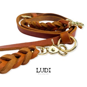 Dog leash Ludi made of soft and robust grease leather braided image 4