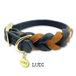 Halsband für Hunde personalisierbar mit Namen Handynr. 2-Farbig Side by Side Bild 6