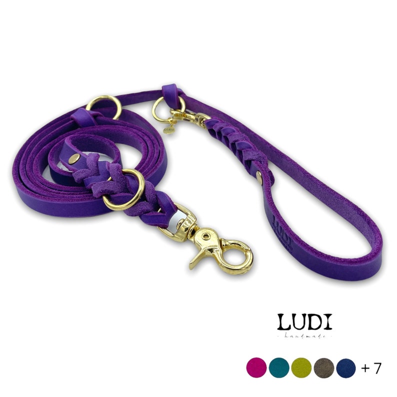 Dog leash Ludi made of soft and robust grease leather braided image 1