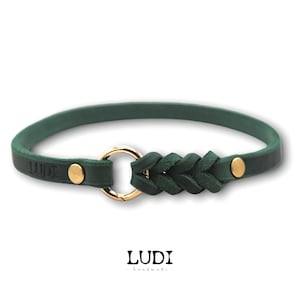 Markenhalsband Becci aus Leder für Hunde oder Steuermarken, personalisierbar mit Namen Bild 3