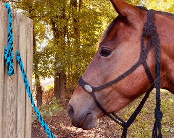 Braided horse halter with six foot lead rope and decorative conchos. Braided rope halter. Horse show, rodeo, western halter.