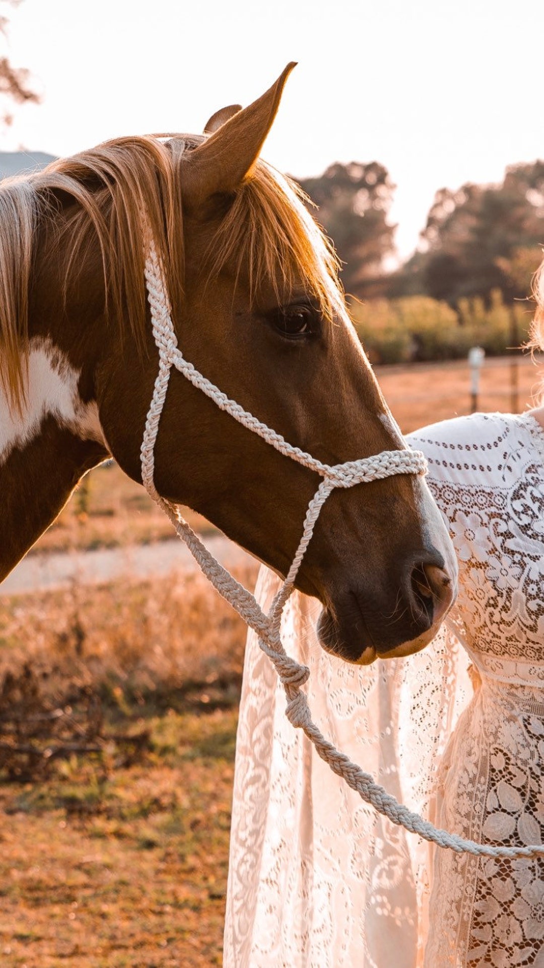 Six Strand Braided Roper Halter With Six Foot Braided Lead - Etsy