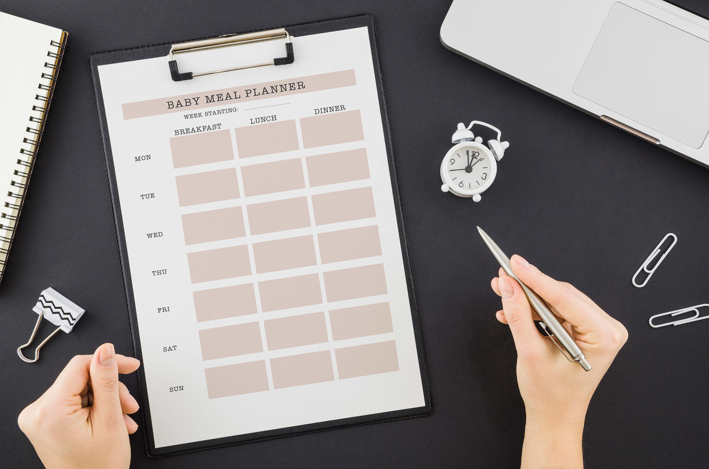 Baby Meal Planner Printable, Baby Led Weaning Planner, Baby Food