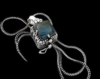 Poison Labradorite Sterling Silver Minimalist pendent Necklace , secret pill jewelry
