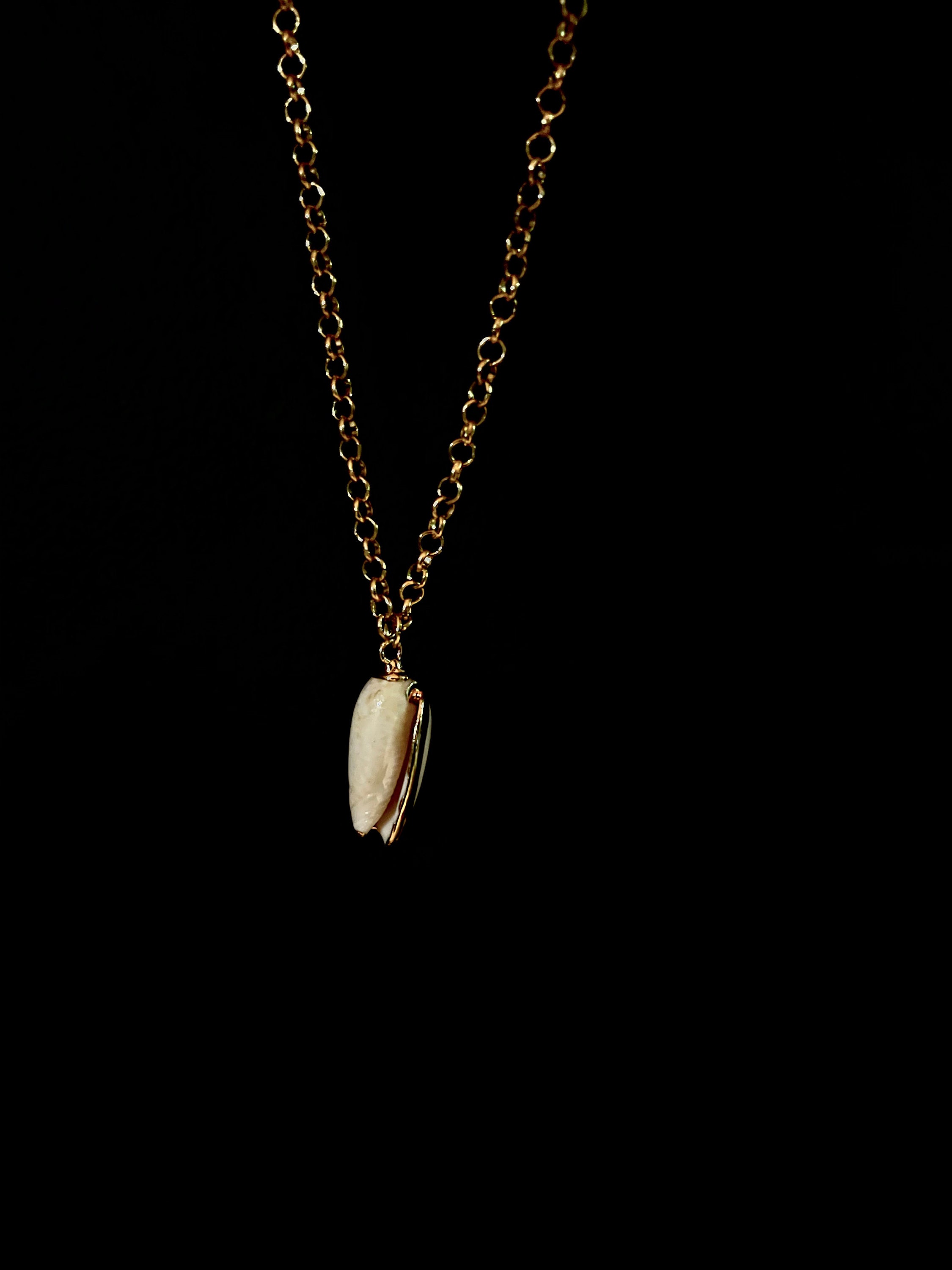 CONCHnecklace chain pendant with gold plating charm Etsy