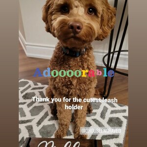 May include: A brown Goldendoodle dog with a blue collar sits on a patterned rug. The word "Adoooorable" is written in colorful letters. A wooden leash holder with the name "Pickles" is in front of the dog.