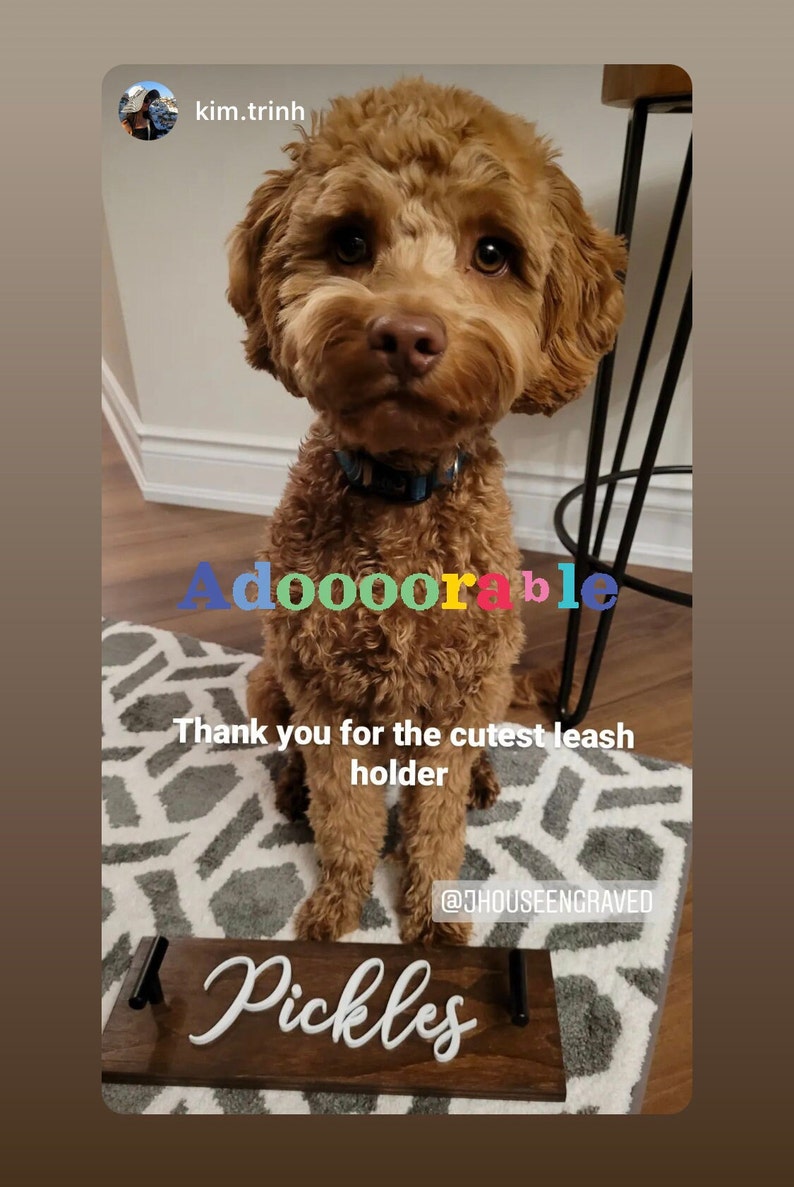 May include: A brown Goldendoodle dog with a blue collar sits on a patterned rug. The word "Adoooorable" is written in colorful letters. A wooden leash holder with the name "Pickles" is in front of the dog.