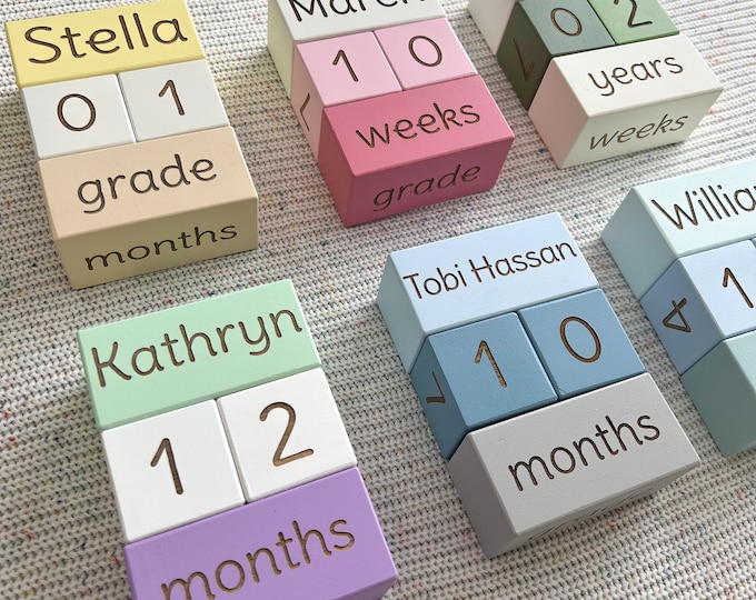 Custom Baby Milestone Blocks, Age Blocks, Baby Month Blocks, Baby