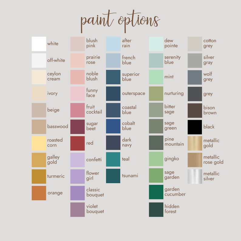 May include: A color palette titled "paint options" featuring a variety of paint colors. The palette includes shades of white, pink, blue, green, gray, brown, black, gold, and orange. Each color is labeled with its name, such as "white," "blush pink," and "after rain."