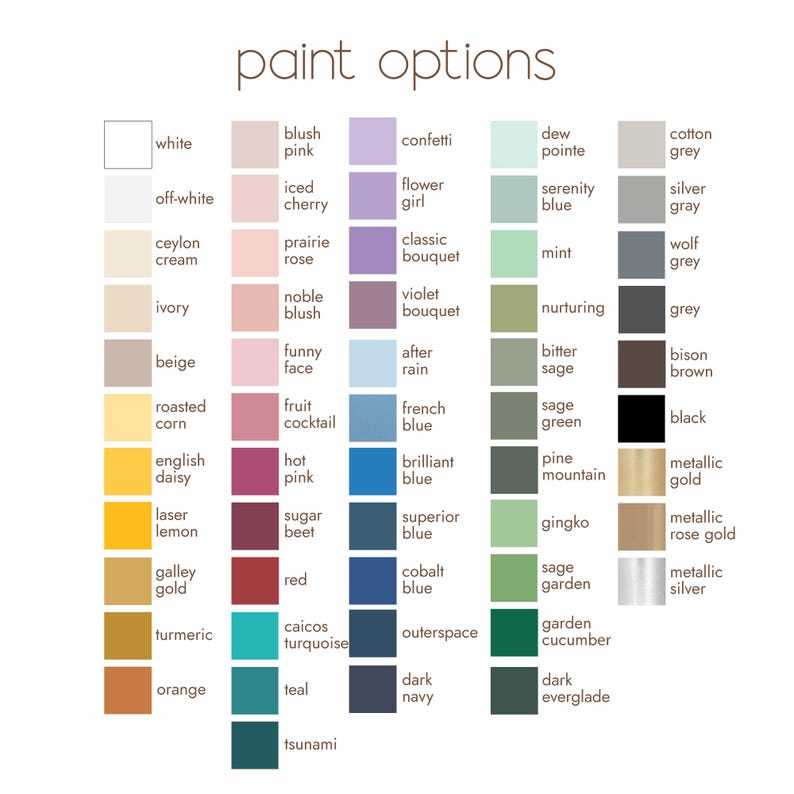 Op de afbeelding: Een kleurenkaart met de titel "paint options" toont een verscheidenheid aan verfkleuren. De kaart bevat tinten wit, roze, paars, blauw, groen, grijs, bruin, zwart, goud en zilver. Elke kleur is voorzien van een unieke naam.
