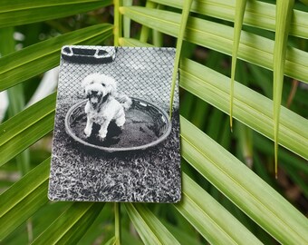Personalized Pet Memorial Gift | Laser Engraved Metal Photo Card | Dog Cat Loss Remembrance Sympathy Gift
