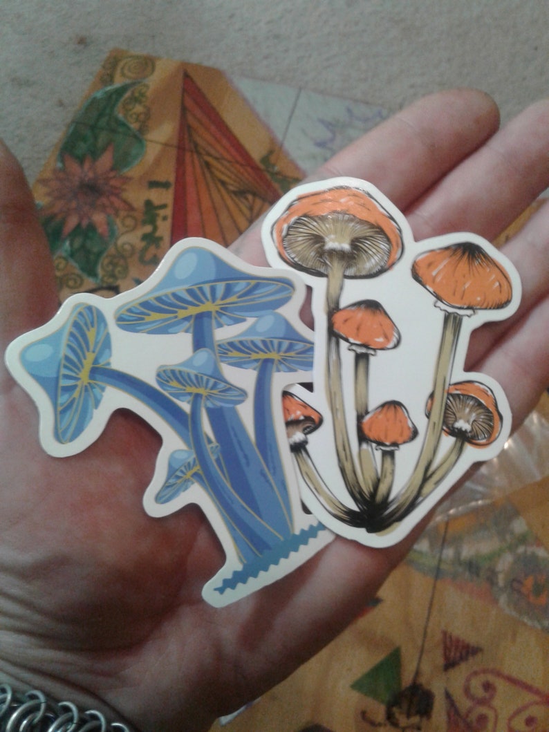 Mushroom Stickersmushroom Sticker Packstrippy Mushroom Etsy