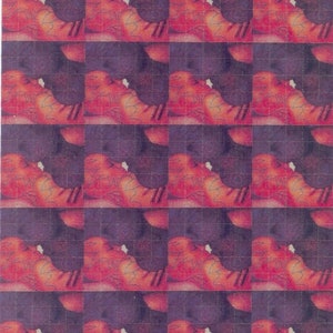 Blotter art/Psychedelic Twins 500-tab sheet 7 inch by 8.5 inch