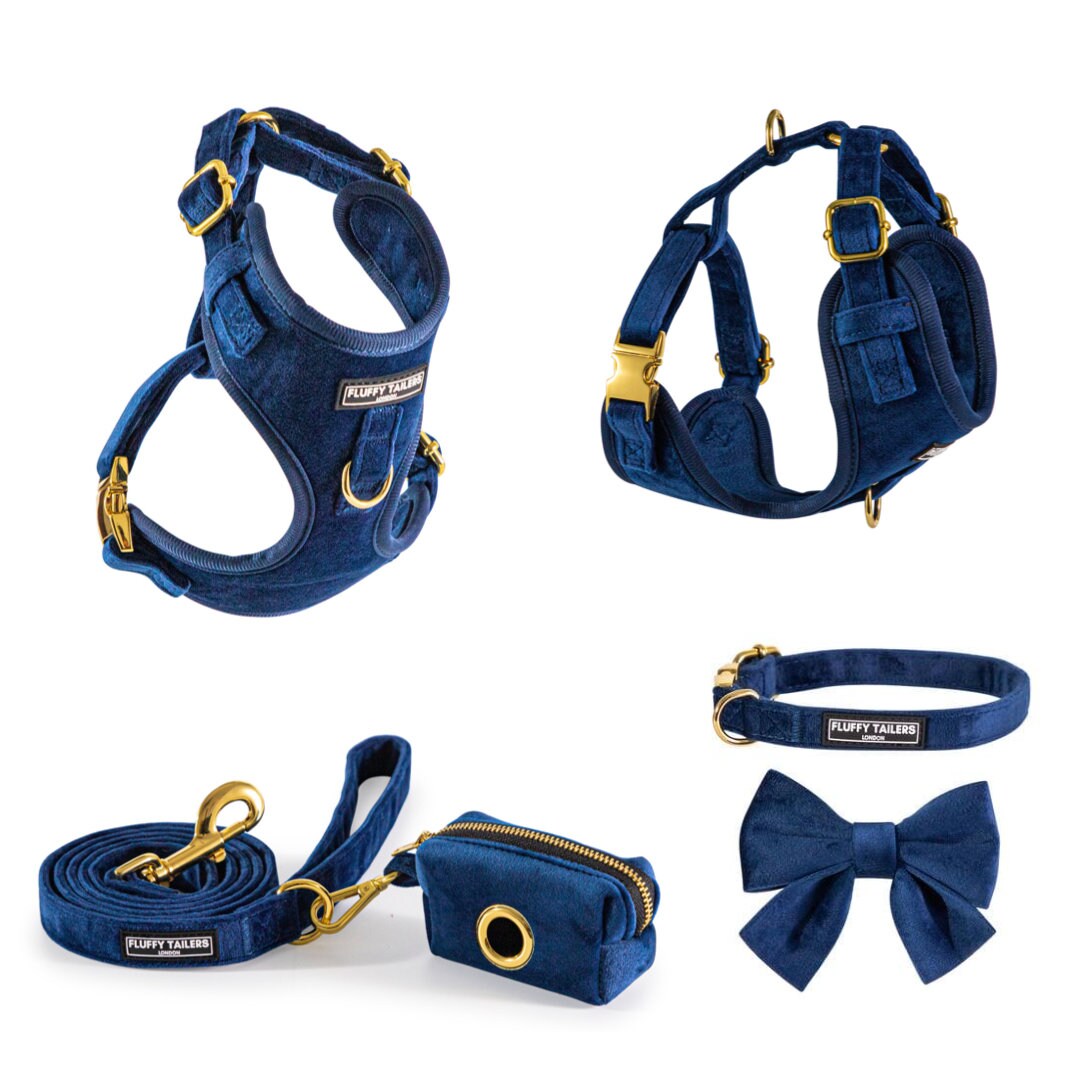 Fluffy Tailers Royal Blue Velvet Dog Puppy Cat Kitten Harness, Collar