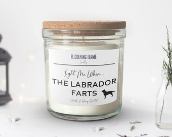 Light Me When The Labrador Farts | Labrador Owner Gift, Dog Lover, Funny Gift Ideas, Any Dog