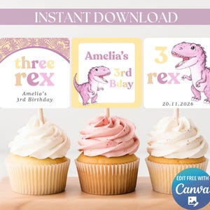 Può includere: Tre cupcake con decorazioni per un terzo compleanno. Le decorazioni presentano un dinosauro rosa, il testo "three rex" e "Amelia's 3rd Birthday". I cupcake hanno glassa bianca e rosa.