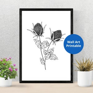 Black and White Scottish Thistle | Digital Download Print | Scottish Highland Thistle print | Scottish themed gift | Unframed wall art