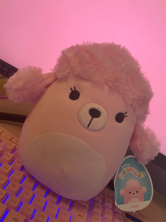 squishmallow chloe