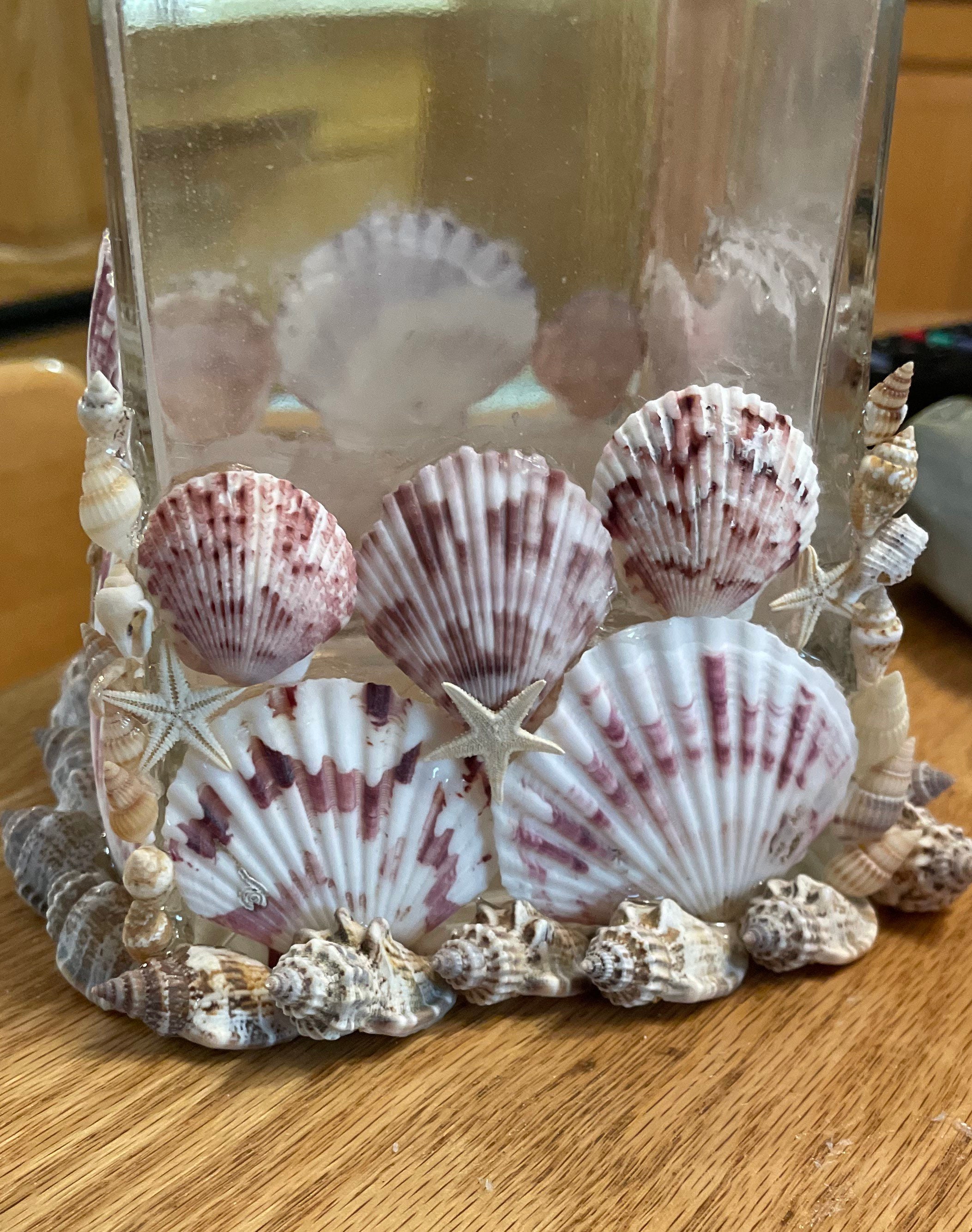 Seashell vase Etsy